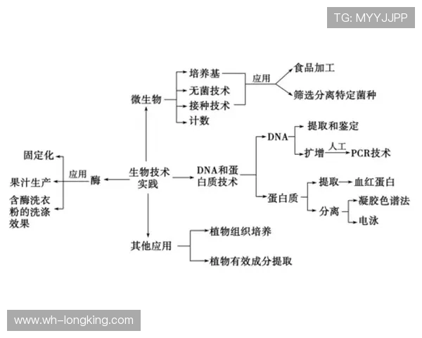 全方位提升体能与运动表现的科学训练方法解析与实践 全方位提升体能与运动表现的科学训练方法解析与实践