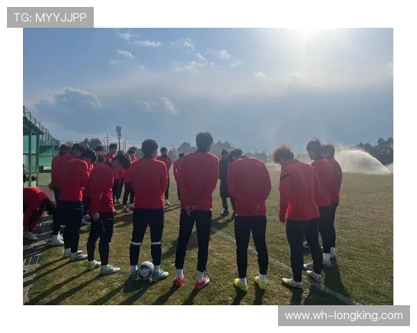 上海足球队的灵活战术揭秘与球队发展历程探讨