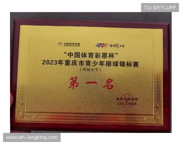 成都与重庆排球队较量后的深度分析与经验总结