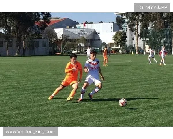 杭州篮球队的节奏分析与战术探讨如何提升球队整体表现