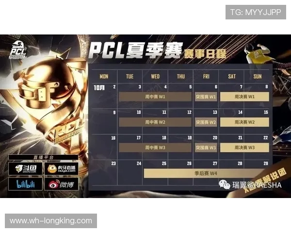 聚焦DOTA2LNG战队耐力提升策略与比赛表现分析