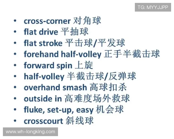 重庆网球队意识对比深度解析与发展潜力探讨