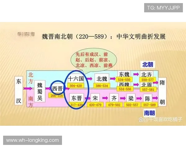 德岛漩涡与沥木的较量探秘两者背后的历史与文化交融