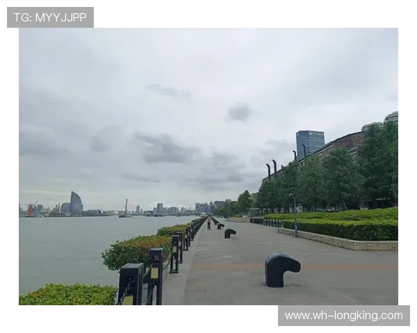 探索阿拉巴的独特魅力与文化底蕴，感受这片土地的历史与现代交融之美